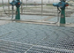 Reja inoxidable torcida del piso de acero de la barra, rejillas industriales del piso ISO9001 proveedor